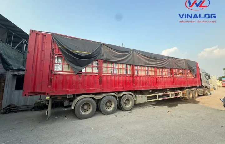 Mã HS code là gì? Vì sao cần xác định đúng trước khi nhập hàng